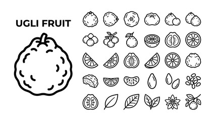 Fototapeta premium Ugli Fruit Illustrations: A collection of clean line art illustrations showcasing the ugli fruit in various forms, including whole fruit, sliced sections, individual segments.
