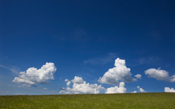Austria, View of flower field during spring