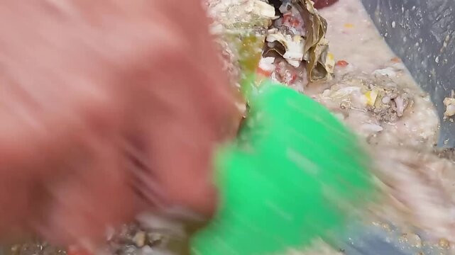 Utilization of household organic food waste as feed for the larvae of the black soldier fly (*Hermatia illucens*), which are cultivated into maggots that decompose various types of biological waste.