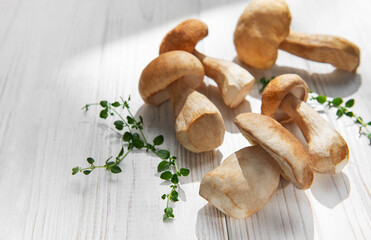 Fototapeta premium Porcini mushrooms with thyme on white wood background