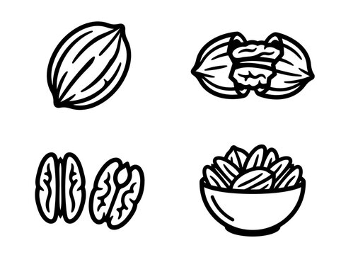 Set of hand-drawn pecan vector icons featuring whole and shelled nuts in a bowl for healthy food and culinary design projects