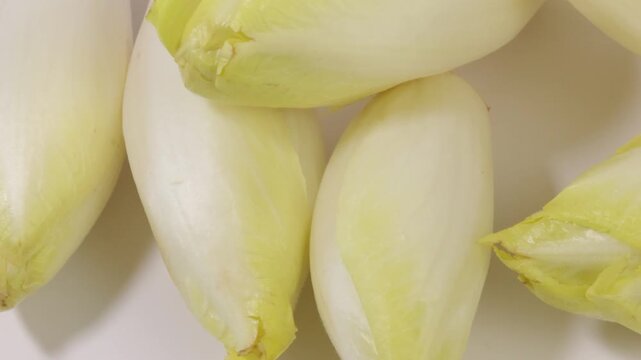 Endives fra&icirc;ches sur un fond blanc