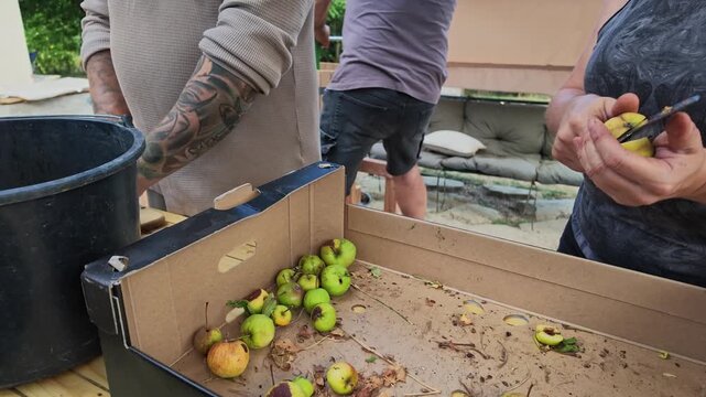 Slow Motion of Couple Halving Apples Into a Bucket in the Kitchen