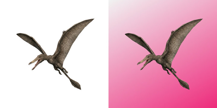 Flying pterodactyl dinosaur soaring through the sky with wings