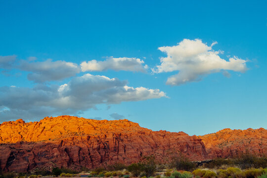 Red Cliffs Desert landscape