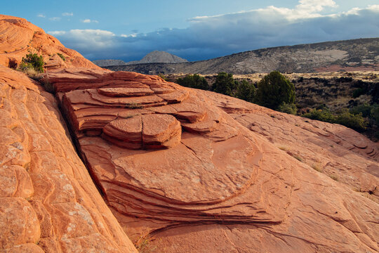 Red rock formation in red Cliffs Desert State Park Utah