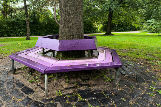 A purple bench surrounds a tree in the park.