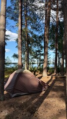 tent in the forest © Тетяна Артюшенко