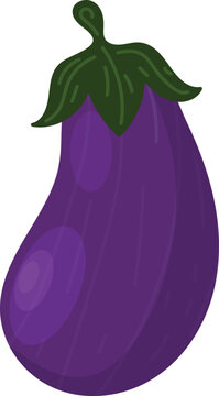 eggplant isolated on white background