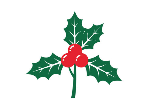 Holly berries and leaves illustration with a flat vector style on a white background