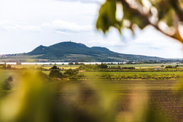 Obraz premium View of Pálava landscape and Mušov reservoir in South Moravia, Czech Republic, with vineyards, fields and green countryside.