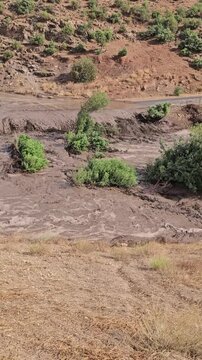 Powerful mudflow and flash flood in a mountainous area after heavy rainfall.