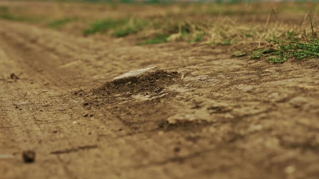 A low-angle close-up shot captures a stone and dry soil texture on a rural dirt road in soft daylight.