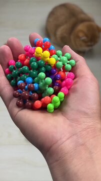 A cute orange cat observing multiple colorful toy balls bouncing across a wooden floor