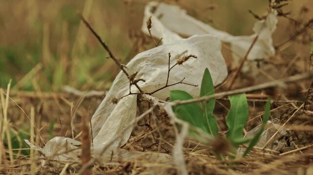 Close-up shot of discarded plastic waste and litter lying among dry grass in a rural field under soft overcast light.