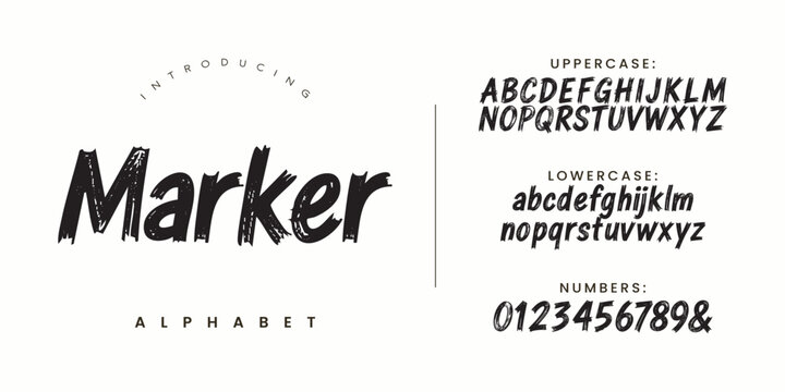 Marker Hand Drawn Brush Font Typography Design For Creative Branding Project