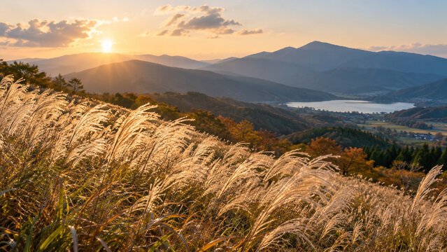 Golden Japanese Silver Grass Overlooking a Mountain Lake at Sunset