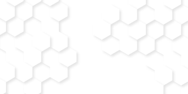 Modern abstract vector polygonal pattern. Abstract background with hexagon. Illustration web honeycomd light white futuristic hexagon. White paper texture abstract grid tile seamless hexagon wall.
