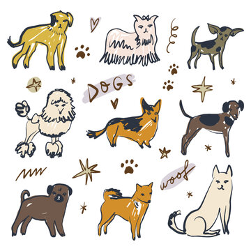 Medium various cute dog breeds set. Hand drawn vector illustration. Cartoon playful hand drawn childish line art