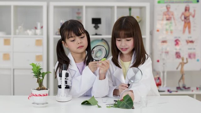 Asian Elementary Students Examining Plant Leaves with Magnifying Glasses in Science Lab