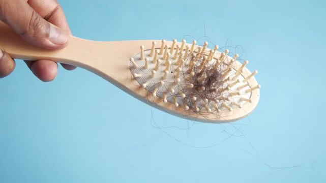woman hand holding hairbrush full of fallen hair, experiencing excessive hair loss after brushing due to thinning, weak or damaged hair. hairbrush. female problem. comb. care concept. man