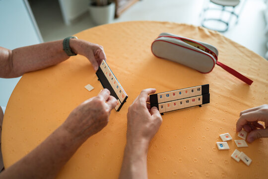 Senior mother and son play tile game at home
