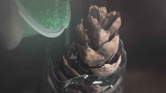 A craftsman in protective gloves carefully pours liquid green epoxy resin with glitter over a dry pine cone in a plastic mold, macro close-up.