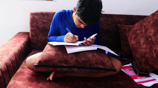 Teenager boy of Indian ethnicity wearing blue colour t shirt sitting on sofa at home and studying/writing video portrait.