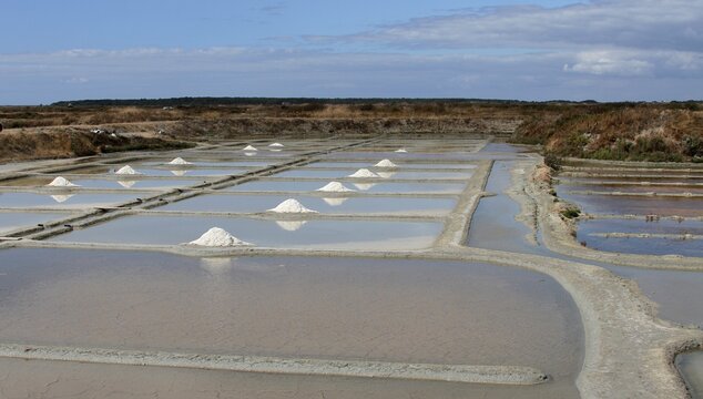 Les marais salants de Gu&eacute;rande en Loire-Atlantique