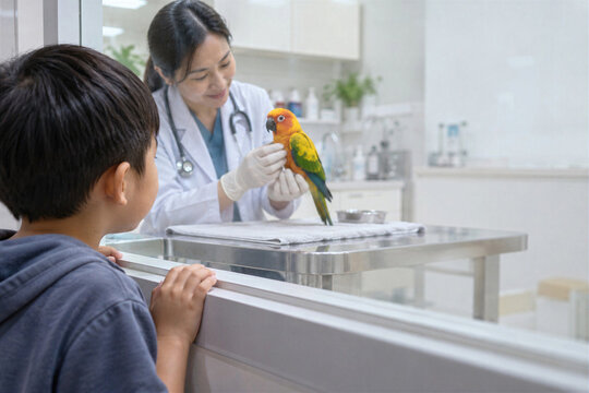 Asian female vet examining colorful sun conure parrot while curious boy watches at clinic window, exotic pet care