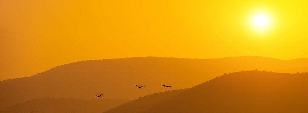Silhouette of mountains against the sunset sky. Birds (Common crane) against the background of the mountains in the evening. The Hula Valley in northern Israel at sunset