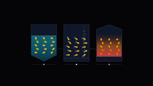 Infographic showing three stages of fish cultivation and processing in tanks