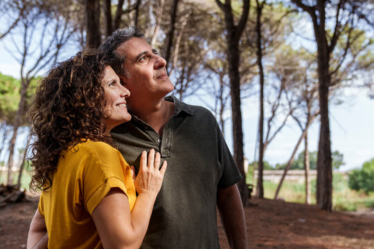 Affectionate couple looking upward together in a sunlit pine forest