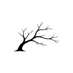 Fototapeta premium Spooky Tree Branches