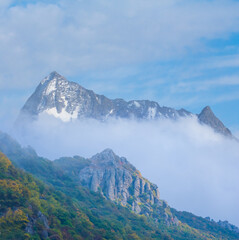 mountain valley covered by the forest in mist an dense clouds © Yuriy Kulik