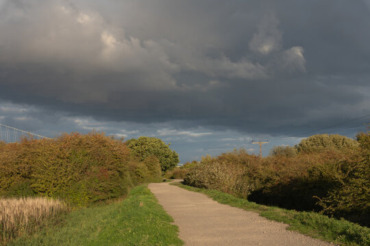 Empty paved walking path curving through autumn nature
