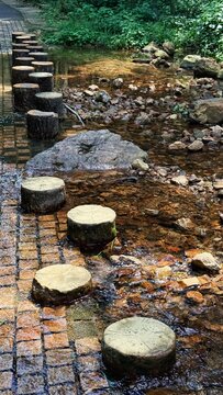 Shallow Stream Flowing Through a Natural Woodland with Rocks and Vegetation