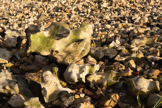 Large natural flint stone among pebbles on a river beach