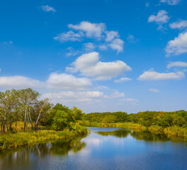 Obraz premium calm river with forest on the coast under a blue cloudy sky