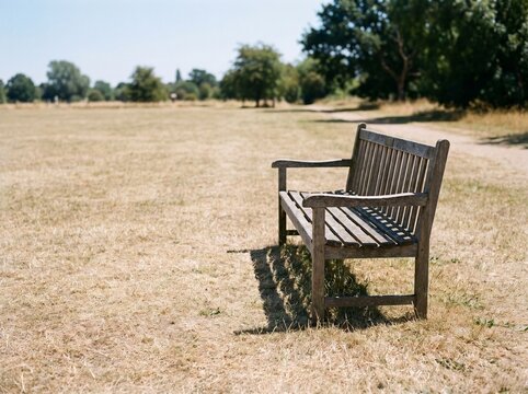 Empty wooden park bench on dry parched grass during summer drought