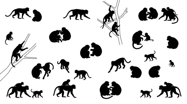 Monkey silhouettes interacting and climbing trees.