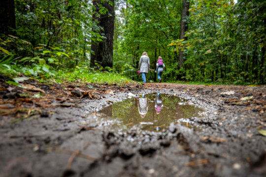 Mother and Two Children Reflected in a Puddle on a Forest Trail