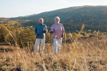 Obraz premium Happy older couple stands outdoors with hiking poles on rugged grassy slope. Senior hikers take in autumn mountain scenery, framed by golden wild grass and wooded hills in warm evening light.