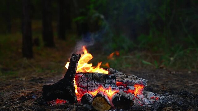 Bright orange flames licking stacked birch logs and glowing hot charcoal embers with thin wisps of gray smoke rising against a dark blurred woodland background in daylight