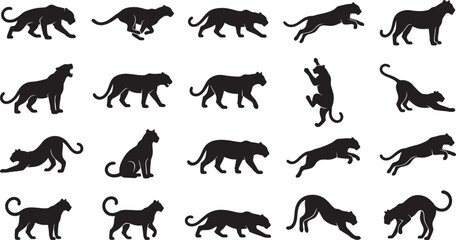 Fototapeta premium Big Cat Silhouette Collection, Wild Panther Predator Animal Poses 