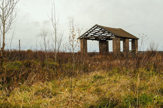 Autumn countryside background. A ruined concrete pavilion with an open roof frame in a field. Dry yellow grass and bare bushes around the abandoned structure