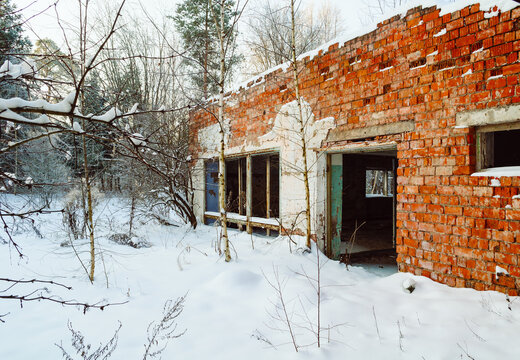 Winter ruin background. An abandoned red brick building with empty window openings. Snow covered ground and bare trees around the weathered walls