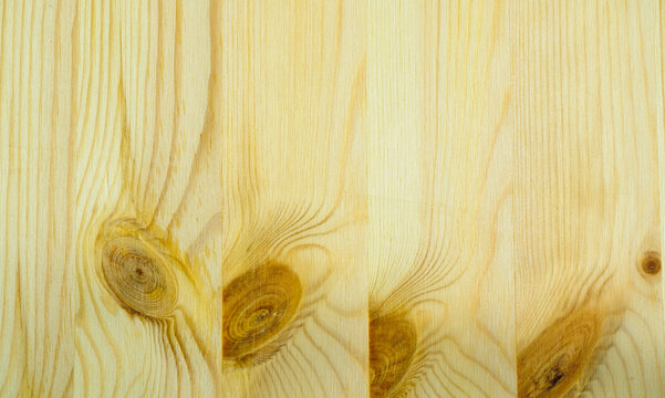 Wood texture panoramic background. Smooth natural timber surface with warm honey tones. Knotty pine planks with prominent round knots and swirling grain