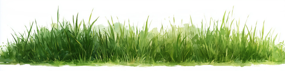 Fototapeta premium Watercolor Meadow Grass Border Painted in Soft Green Washes on White