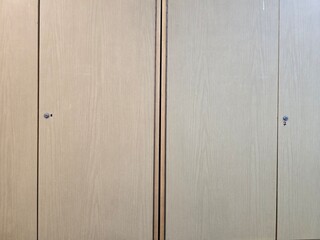 Obraz premium wooden door background
